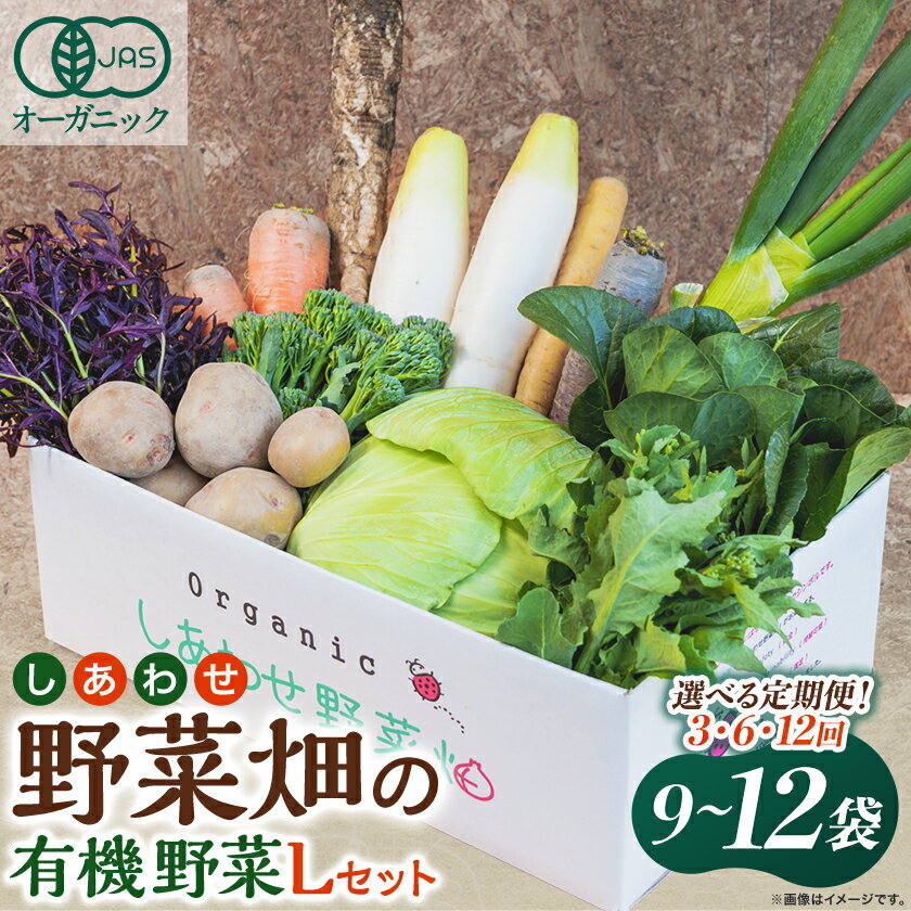 【定期便】しあわせ野菜畑の有機野菜(Lセット)3回、6回、12回(有機JAS認証　オーガニック野菜)【配送不可地域：離島・北海道・沖縄県・四国・九州】【G4066009】