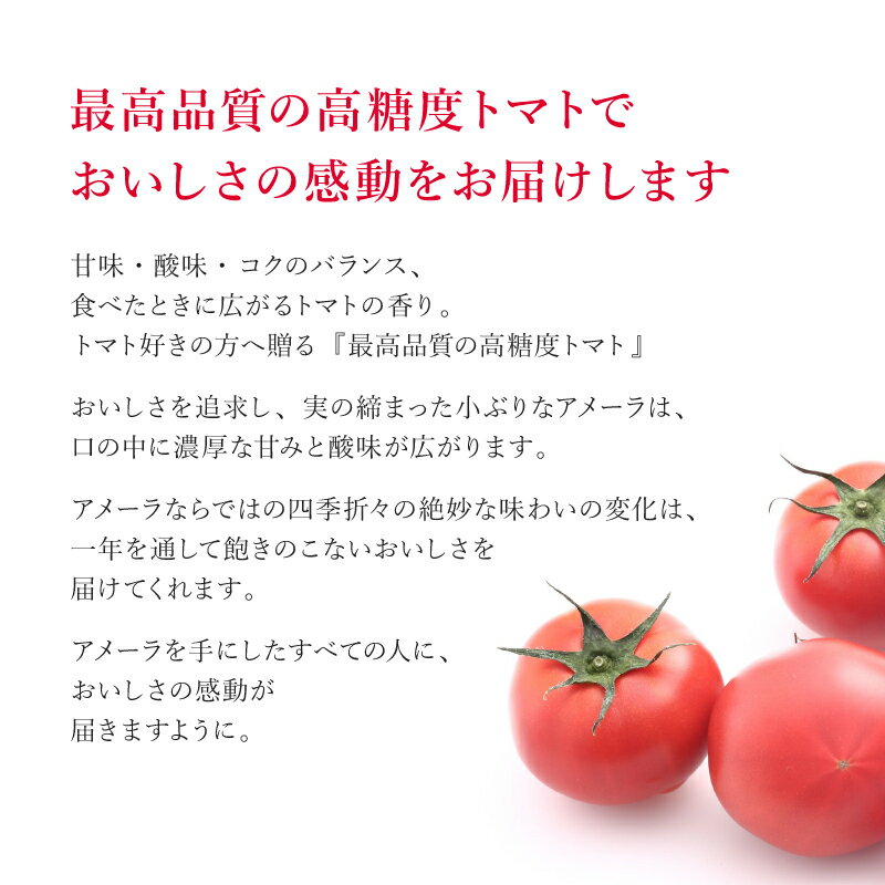 【ふるさと納税】 トマト アメーラ 12-16玉 糖度 7.5以上 甘い 野菜 セット 産地直送 おすすめ 人気 旬 とまと 発送時期選択可 高糖度 フルーツトマト 贈答用 ギフト 特産品 農産物 プレミアム 高級 朝採れ 新鮮 家庭用 贈り物 藤枝市 静岡県 サムネイル3