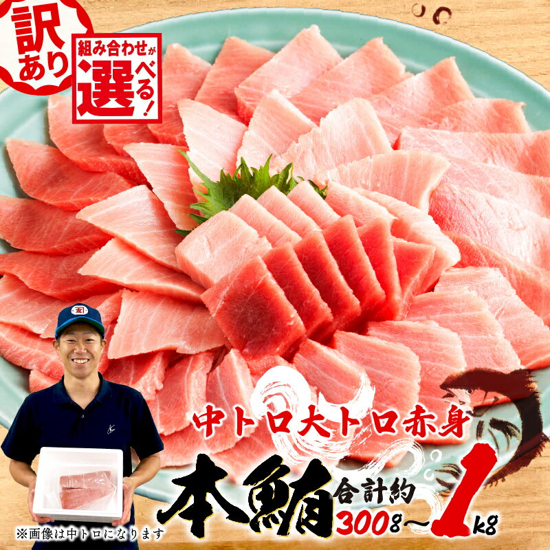 訳あり 本マグロ 中トロ 約400g 赤身 500g 大トロ 約300g 鮪 冷凍 本鮪 漬け丼 刺身 魚 鮮魚 海鮮 食品 まぐろ 不揃い 規格外 柵 魚介類 マグロ ネギトロ 10000円 1万円 高級 グルメ 贅沢 マグロセット 三種盛り 藤枝市 静岡県