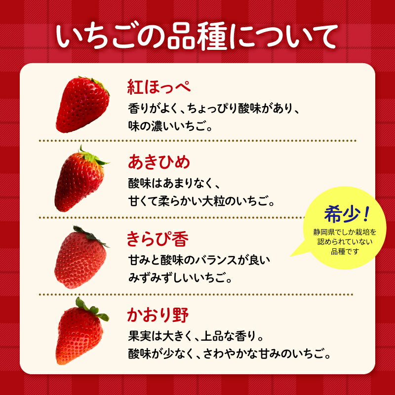 【ふるさと納税】 【先行予約：選べる配送月】 【定期便】 いちご 大粒 24～30粒 2025年12月～2026年5月 順次発送 苺 旬 産地 直送 フレッシュ イチゴ 紅ほっぺ 章姫 あきひめ きらぴ香 かおりの フルーツ 果物 国産 ジャパン ベリー 静岡県 藤枝市 サムネイル2