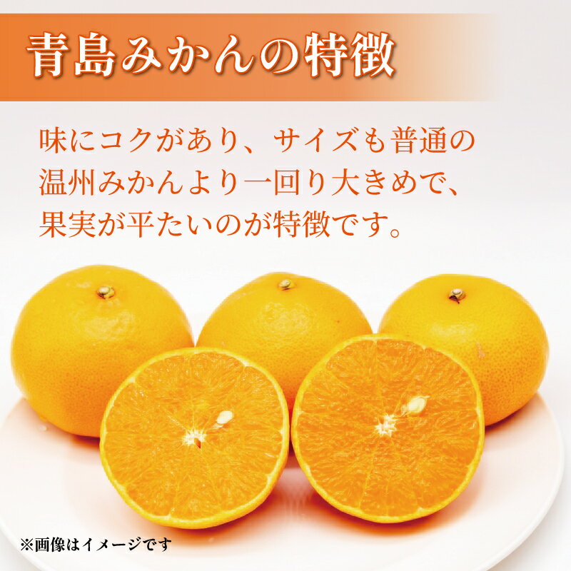 【ふるさと納税】 訳あり みかん 5kg L-2L 青島 ミカン 果物 国産 フルーツ 柑橘 静岡県産 マルチ栽培 蜜柑 不揃い ビタミン 美味しい 先行予約 2026年1月上旬発送 ギフト 数量限定 贈答用 季節限定 旬 産地直送 自然栽培 完熟 甘い 新鮮 果汁 栄養 ジュース 藤枝市 静岡県 サムネイル2