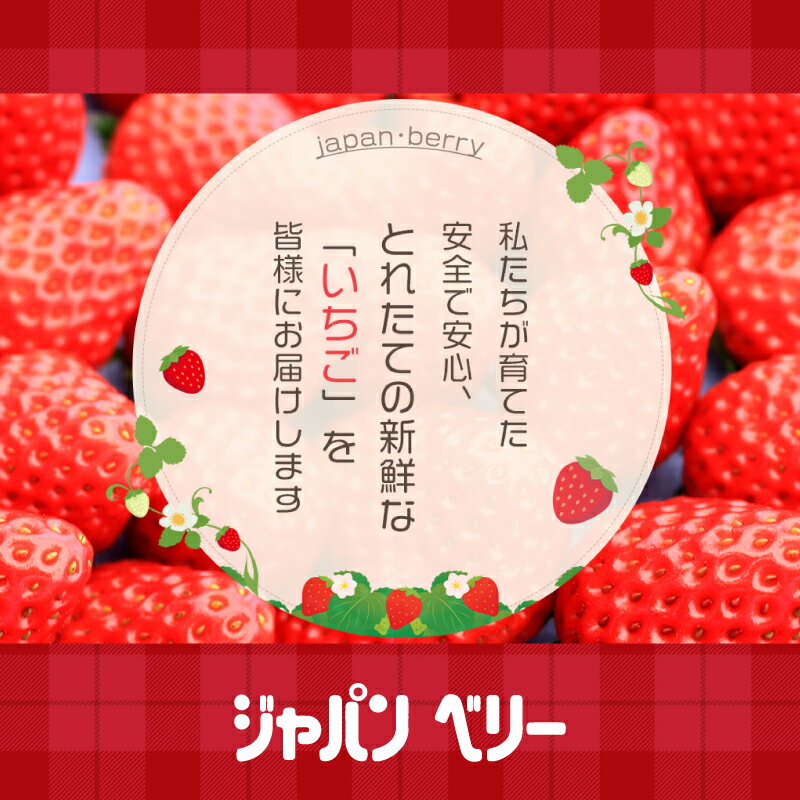 【ふるさと納税】 冷凍 いちご 計2kg 2種類 セット 紅ほっぺ 章姫 きらぴ香 かおり野 国産 ギフト フルーツ 果物 イチゴ フローズン スムージー ジャム ヨーグルト 苺 お取り寄せ itigo 冷凍フルーツ デザート 産地直送 朝食 おやつ 贈答品 プレゼント 藤枝市 静岡県 サムネイル3