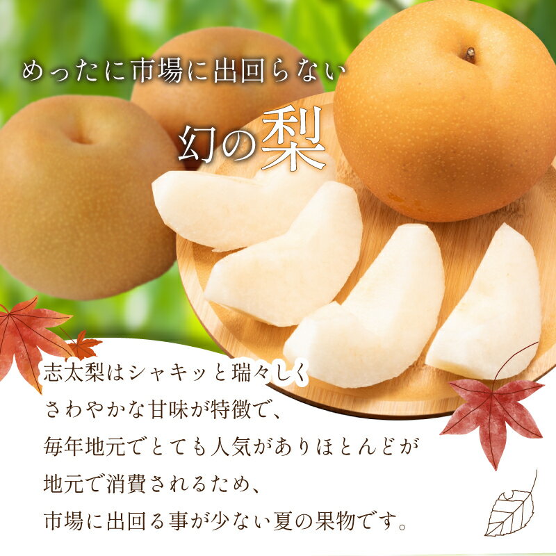 【ふるさと納税】 【先行予約：2026年8月以降出荷】 梨 3から5kg 志太梨 果物 フルーツ 産地 直送 家庭用 なし 藤枝産梨 甘い梨 貴重種梨 夏 限定梨 旬の梨 静岡県 藤枝市 サムネイル2