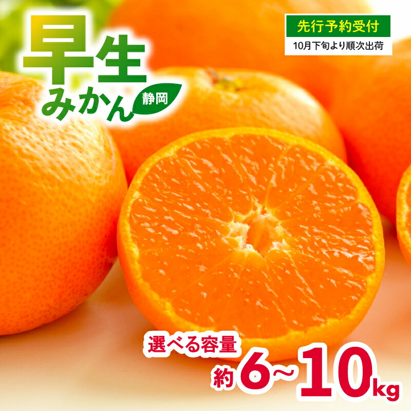 先行予約 2025年10月下旬-発送予定 選べる容量 早生 みかん 6kg-10kg 静岡県産 果物 国産 フルーツ 柑橘 蜜柑 ミカン 不揃い ビタミン 旬 季節 贈答用 贈り物 ギフト 産地直送 特産品 おいしい 新鮮 健康 栄養 果汁 甘い 酸味 爽やか 藤枝市 静岡県