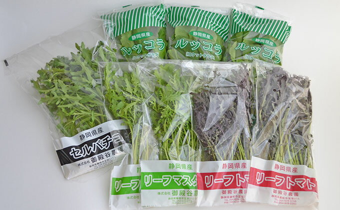 【ふるさと納税】 定期便 3回 国産 ハーブ 野菜 詰合せ 約 450g 4種 8袋 セット 3ヶ月 ルッコラ 50g 3袋 リーフトマト 赤からし菜 50g 2袋 リーフマスタード からし菜 50g 2袋 セルバチコ 100g 1袋 水菜 サラダ 新鮮 ミックスサラダ 健康 栄養 藤枝市 静岡県 - 画像3