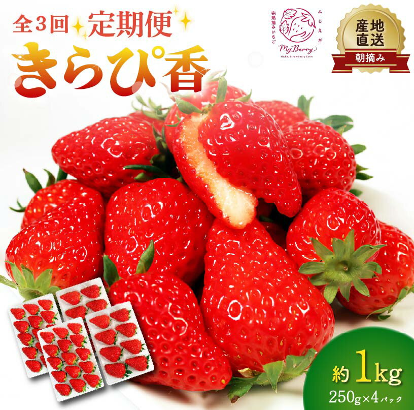全3回定期便 いちご きらぴ香 約1kg 約250g×4パック 先行予約 2026年1月から発送予定 3ヶ月 朝どれ 完熟 苺 産地直送 フレッシュ イチゴ 贈答 フルーツ 果物 国産 ストロベリー 甘い 美味しい おすすめ 藤枝市 静岡県