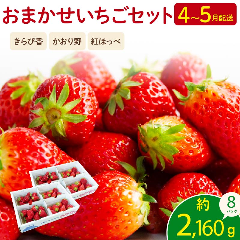 【先行予約 2026年4月より順次発送予定】 いちご 2kg 以上 おまかせ 苺 旬 産地 直送 フレッシュ イチゴ 紅ほっぺ きらぴ香 かおりの フルーツ 果物 国産 ジャパン ベリー 静岡県 藤枝市