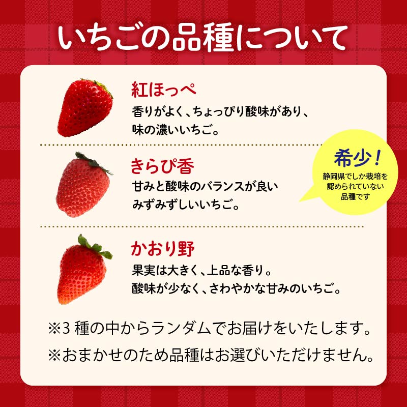 【ふるさと納税】 【先行予約 2026年4月より順次発送予定】 いちご 2kg 以上 おまかせ 苺 旬 産地 直送 フレッシュ イチゴ 紅ほっぺ きらぴ香 かおりの フルーツ 果物 国産 ジャパン ベリー 静岡県 藤枝市 - 画像2