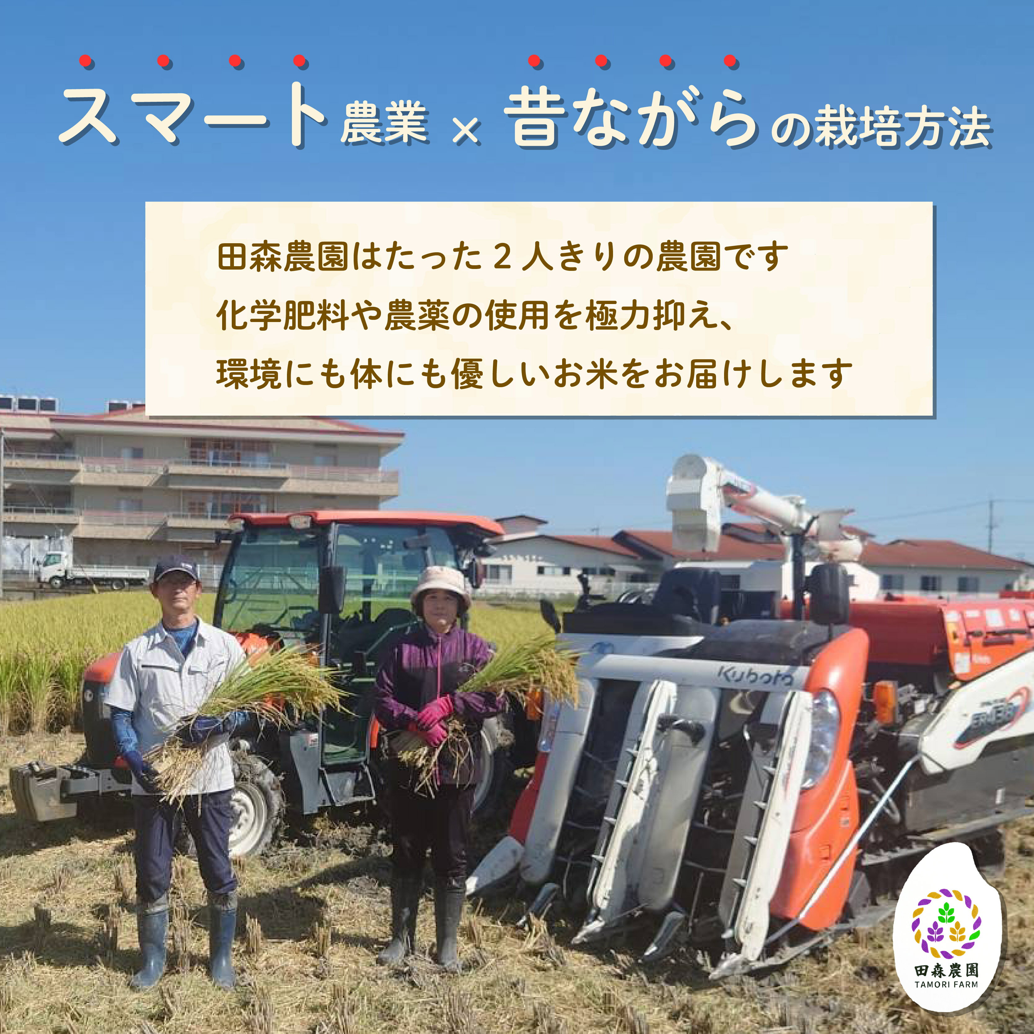 【ふるさと納税】 米 にこまる 5kg 農家直送 特別栽培米 精米 令和7年度産 お米 贈り物 人気米 ご飯 白米 コメ 贈答 静岡県 藤枝市 - 画像2