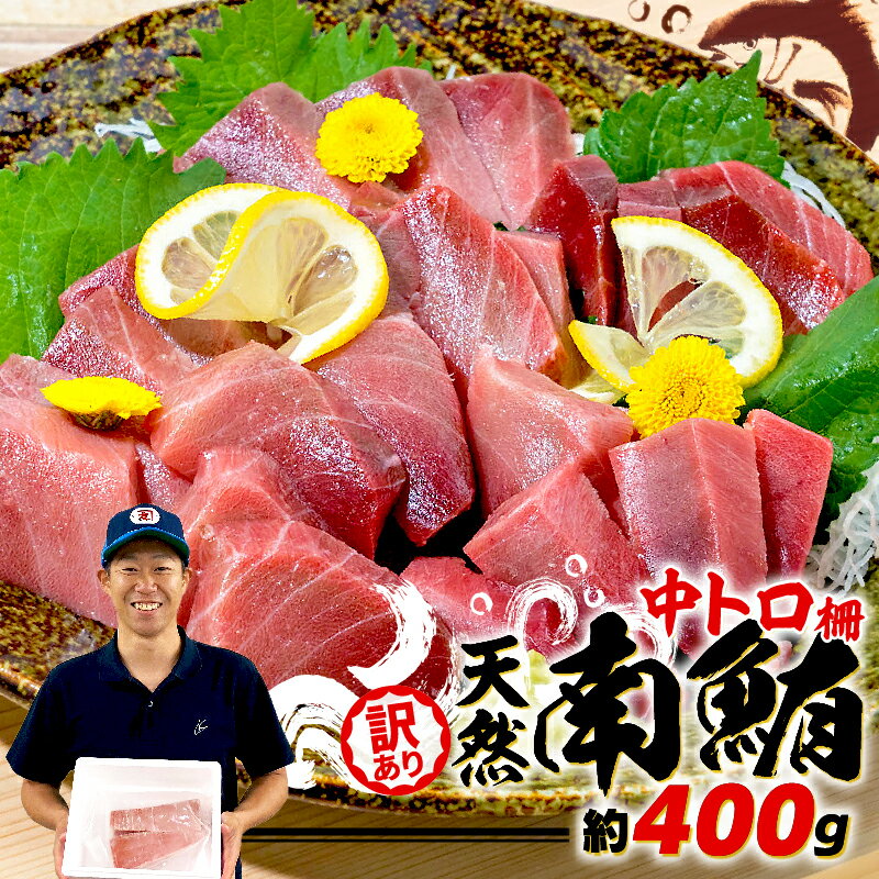 訳あり 天然 南マグロ 中トロ 約400g 不定型柵 解凍 鮪 漬け ユッケ 海鮮 ミナミマグロ 刺身 寿司 おつまみ グルメ 高級魚 脂のり 赤身 刺し身 生食 食べ方 おいしい 美味しい おすすめ 贈り物 ギフト 贈答品 プレゼント 藤枝市 静岡県