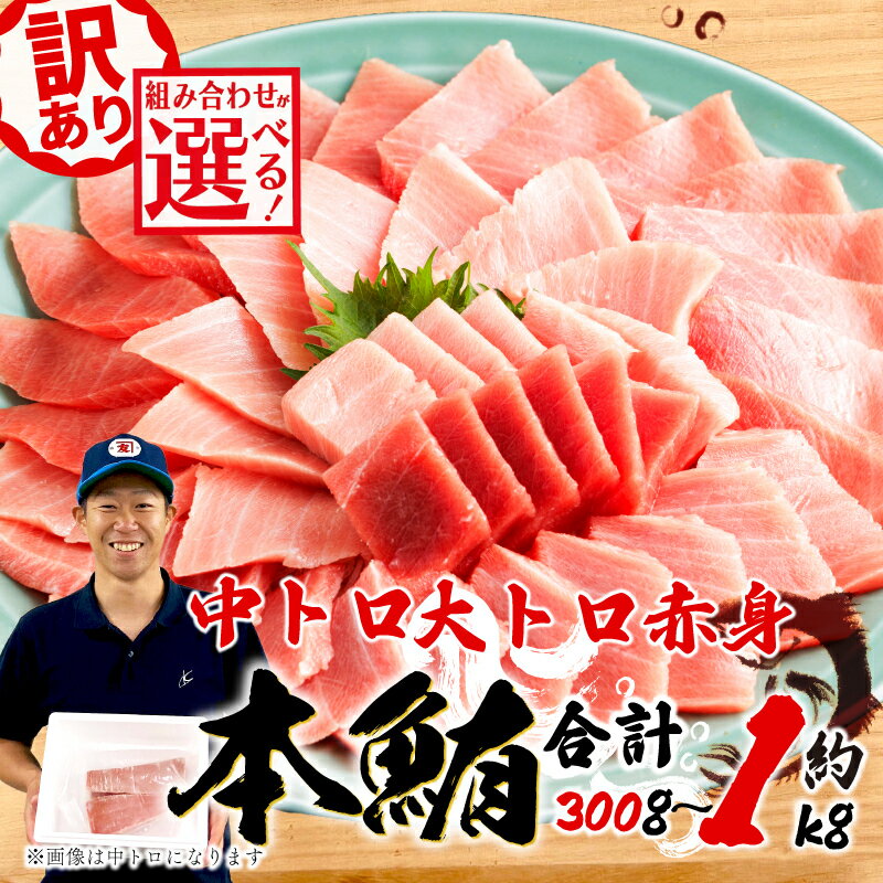 訳あり 本マグロ 中トロ 約400g 赤身 500g 大トロ 約300g 鮪 冷凍 本鮪 漬け丼 刺身 魚 鮮魚 海鮮 食品 まぐろ 不揃い 規格外 柵 魚介類 マグロ ネギトロ 10000円 1万円 高級 グルメ 贅沢 マグロセット 三種盛り 藤枝市 静岡県