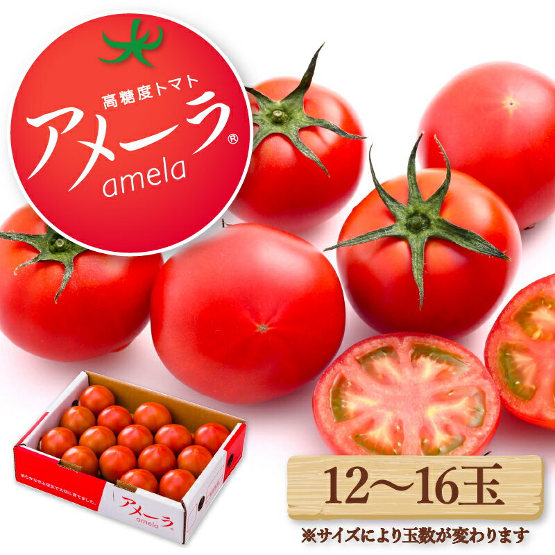 トマト アメーラ 12-16玉 糖度 7.5以上 甘い 野菜 セット 産地直送 おすすめ 人気 旬 とまと 発送時期選択可 高糖度 フルーツトマト 贈答用 ギフト 特産品 農産物 プレミアム 高級 朝採れ 新鮮 家庭用 贈り物 藤枝市 静岡県