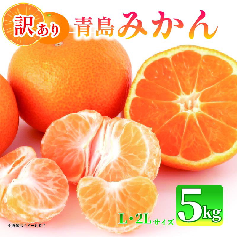 訳あり みかん 5kg L-2L 青島 ミカン 果物 国産 フルーツ 柑橘 静岡県産 マルチ栽培 蜜柑 不揃い ビタミン 美味しい 先行予約 2026年1月上旬発送 ギフト 数量限定 贈答用 季節限定 旬 産地直送 自然栽培 完熟 甘い 新鮮 果汁 栄養 ジュース 藤枝市 静岡県