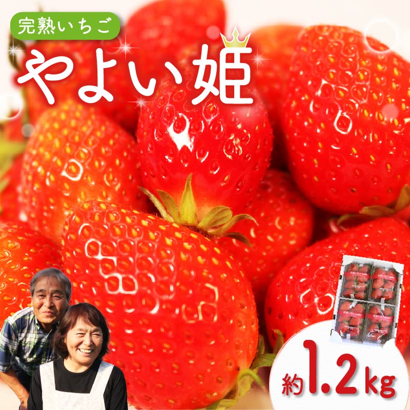 【先行予約】 やよい姫 約1.2kg 300g×4パック いちご 完熟 苺 産地 直送 フレッシュ イチゴ 贈答 フルーツ 果物 国産 静岡 発送期間: 2026年4月 静岡県 藤枝市
