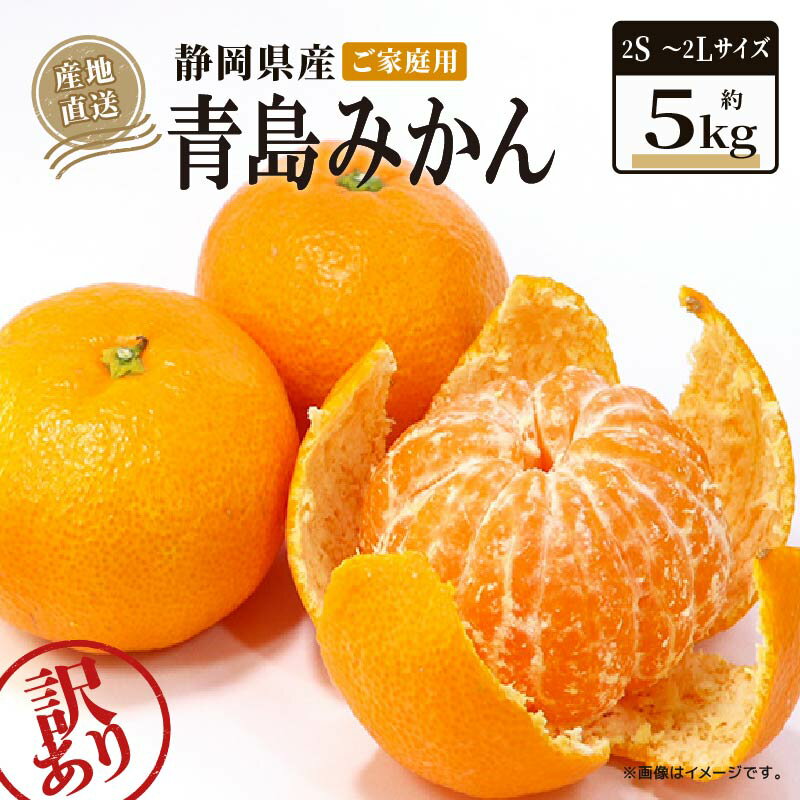 【2026年1月上旬から順次発送】 訳あり 青島 みかん 5kg 家庭用 青島みかん 果物 国産 フルーツ 柑橘 蜜柑 期間限定 季節限定 訳あり品 大きさ 不揃い ミカン 静岡県 藤枝市