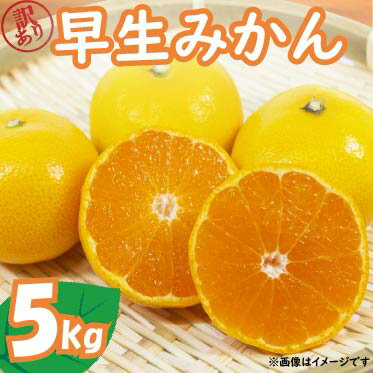 【2025年11月上旬～順次発送】 訳あり 早生 みかん 5kg 家庭用 早生みかん 果物 国産 フルーツ 柑橘 蜜柑 期間限定 季節限定 訳あり品 大きさ 不揃い ミカン 静岡県 藤枝市