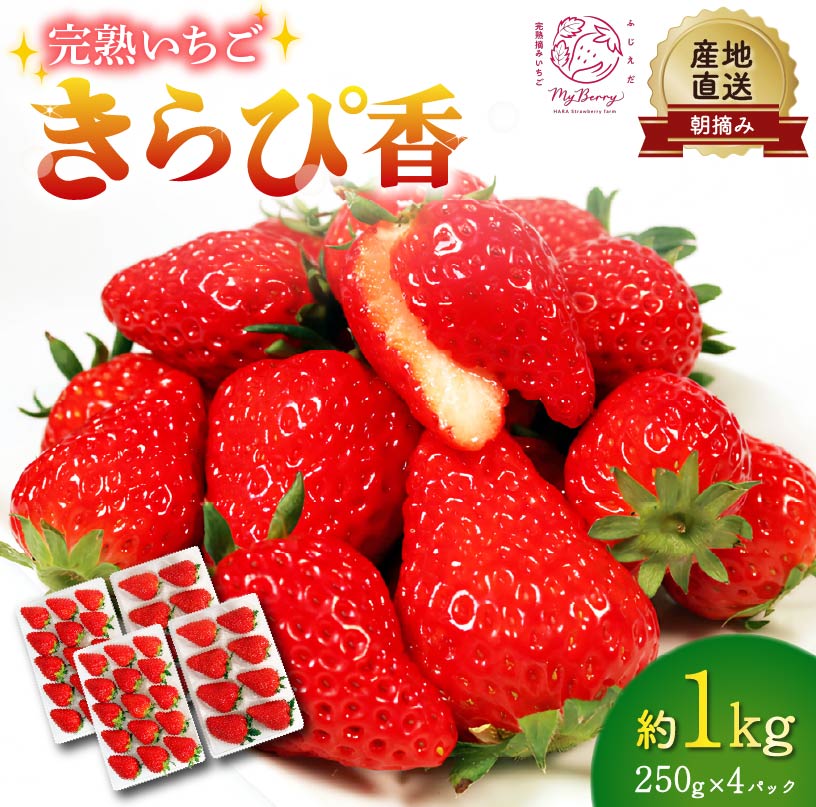 いちご きらぴ香 約1kg 約250g×4パック 先行予約 2026年3月-5月発送 朝どれ 完熟 苺 産地直送 フレッシュ イチゴ 贈答用 フルーツ 果物 国産 ストロベリー 季節限定 春 ギフト 贈り物 おすすめ 藤枝市 静岡県