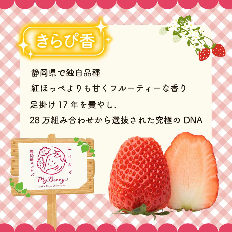 【ふるさと納税】 いちご きらぴ香 約1kg 約250g×4パック 先行予約 2026年3月-5月発送 朝どれ 完熟 苺 産地直送 フレッシュ イチゴ 贈答用 フルーツ 果物 国産 ストロベリー 季節限定 春 ギフト 贈り物 おすすめ 藤枝市 静岡県 サムネイル2