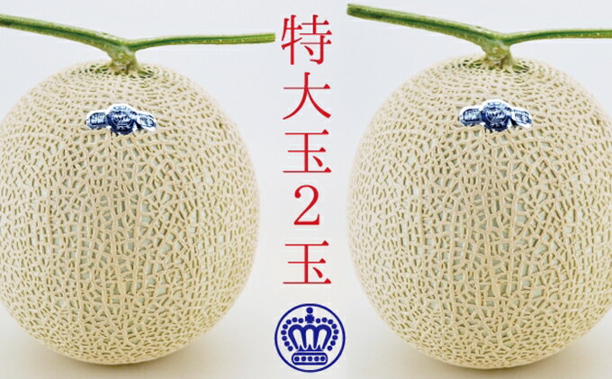 【ふるさと納税】クラウンメロン（白等級）特大玉 2玉入 果物類 メロン青肉 　お届け：◆返礼品到着後、すぐに状態をご確認ください◆ サムネイル2
