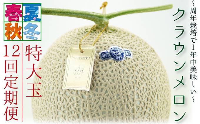 【ふるさと納税】【12ヶ月定期便】クラウンメロン（白等級）特大玉　1玉入 　お届け：◆返礼品到着後、すぐに状態をご確認ください◆ サムネイル2