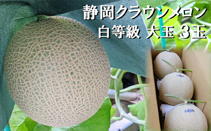 【ふるさと納税】クラウンメロン 並 ( 白等級 ) 大玉 ( 1.4kg前後 ) 3玉入り メロン 果物 くだもの フルーツ マスクメロン デザート 青肉 サムネイル2