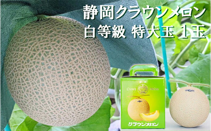 【ふるさと納税】クラウンメロン【並（白等級）】特大玉（1.5kg前後）1玉入り 人気 厳選 ギフト 贈り物 デザート グルメ 果物 袋井市 果物類 メロン青肉 フルーツ サムネイル2