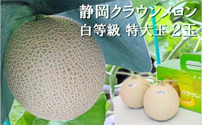【ふるさと納税】クラウンメロン【並（白等級）】特大玉（1.5kg前後）2玉入り 人気 厳選 ギフト 贈り物 デザート グルメ 果物 袋井市 果物類 メロン青肉 フルーツ サムネイル2