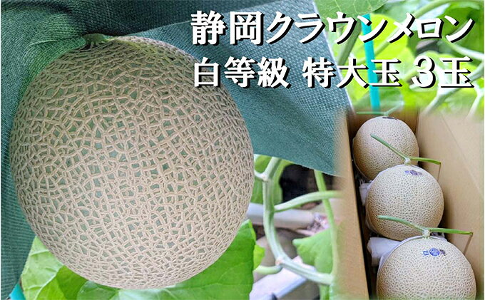 【ふるさと納税】クラウンメロン【並（白等級）】特大玉（1.5kg前後）3玉入り 人気 厳選 ギフト 贈り物 デザート グルメ 果物 袋井市 果物類 メロン青肉 フルーツ サムネイル2
