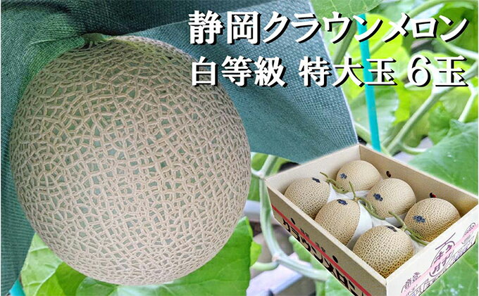 【ふるさと納税】クラウンメロン【並（白等級）】特大玉（1.5kg前後）6玉入り 人気 厳選 ギフト 贈り物 デザート グルメ 果物 袋井市 果物類 メロン青肉 フルーツ サムネイル2