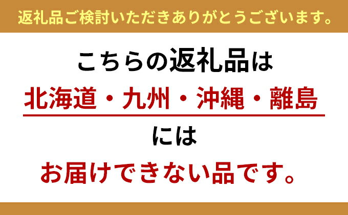 【ふるさと納税】とれたて 野菜 パック 定期便 4回 2ヶ月おき 季節の野菜 セット 詰め合わせ 8品前後 野菜セット 野菜詰め合わせ ジャガイモ 人参 大根 小松菜 白ネギ グリーンリーフ チンゲン菜 椎茸 トマト 水菜 葉ネギ 人気 厳選 静岡県 - 画像3