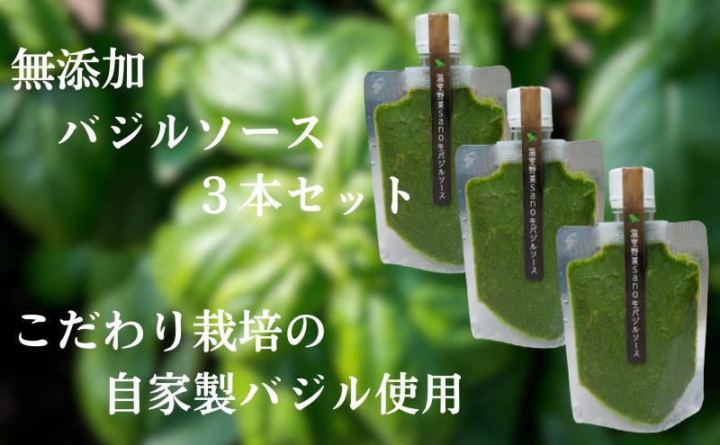 【ふるさと納税】温室野菜 sano 生バジルソース3本セット 加工食品 ソース サムネイル2