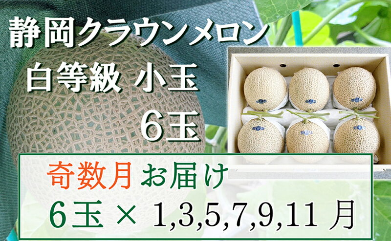【ふるさと納税】【奇数定期便】クラウンメロン【並(白等級)】小玉(1.1kg前後)6玉入り 果物 メロン青肉 フルーツ デザート 高級メロンブランド 高級メロン ブランドメロン サムネイル2