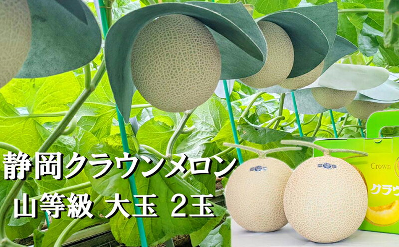 【ふるさと納税】クラウンメロン山等級1.4kg前後　2玉入り 果物 メロン青肉 フルーツ デザート 高級メロンブランド 高級メロン ブランドメロン サムネイル2
