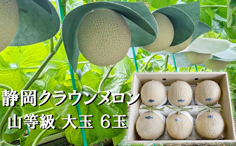 【ふるさと納税】クラウンメロン山等級1.4kg前後　6玉入り 果物 メロン青肉 フルーツ デザート 高級メロンブランド 高級メロン ブランドメロン サムネイル2