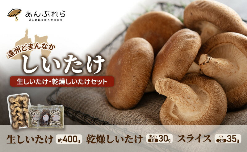 【ふるさと納税】【遠州どまんなかしいたけ】 生しいたけ・乾燥しいたけセット (生しいたけ 約400g , 乾燥しいたけ　丸小 30g1袋 , スライス 小35g2袋)　干し椎茸 産地直送 国産 料理 素材 出汁 日本料理 就労支援 福祉 静岡 袋井 - 画像2