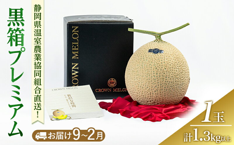 【ふるさと納税】黒箱プレミアム (冬9～2月) 果物 メロン 青肉 フルーツ デザート 高級メロン ブランドメロン 袋井市 静岡県　お届け：2025年9月1日～2026年2月28日まで サムネイル2
