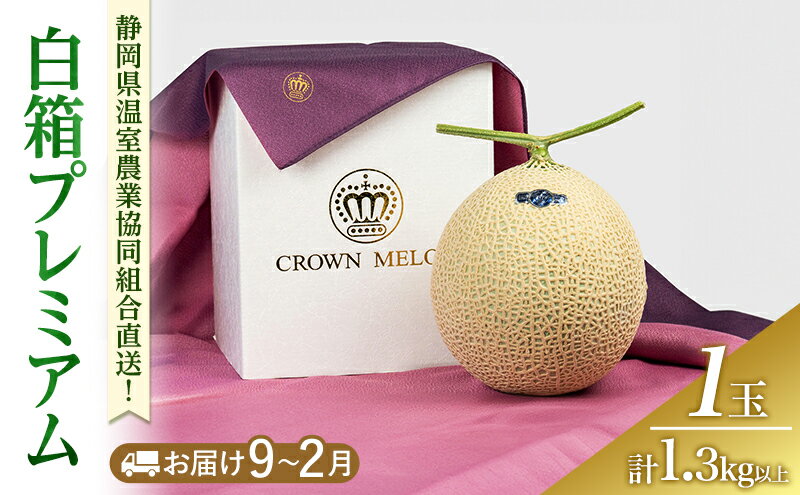 【ふるさと納税】白箱プレミアム (冬9～2月) 果物 メロン 青肉 フルーツ デザート 高級メロン ブランドメロン 袋井市 静岡県　お届け：2025年9月1日～2026年2月28日まで サムネイル2
