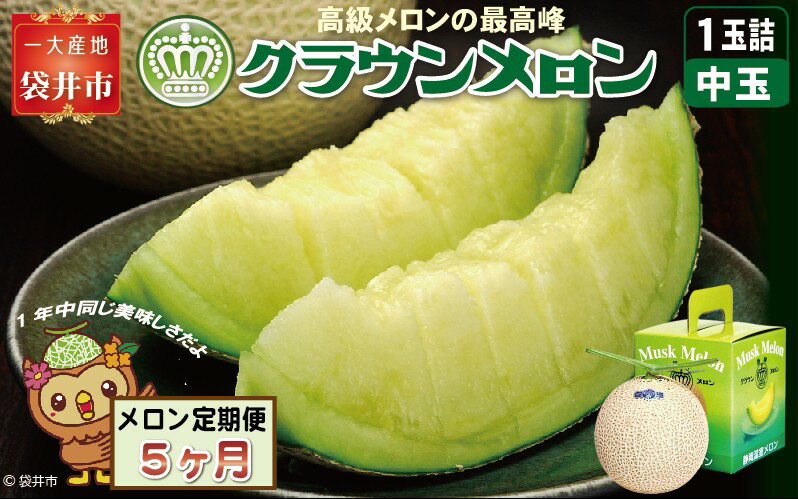 【ふるさと納税】【5ヶ月定期便】クラウンメロン（白等級）中玉　1玉入 　果物 フルーツ デザート メロン マスクメロン 青肉 高級 ギフト 贈り物 静岡県産 袋井市 サムネイル2