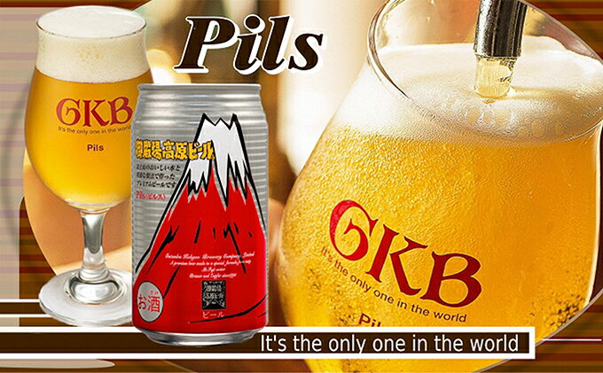 【ふるさと納税】ビール 御殿場高原ビール ピルス 350ml 24缶 詰め合わせ セット 地ビール 缶ビール 缶 お酒 酒 アルコール ギフト プレゼント 贈答 静岡 静岡県 裾野 裾野市 サムネイル2