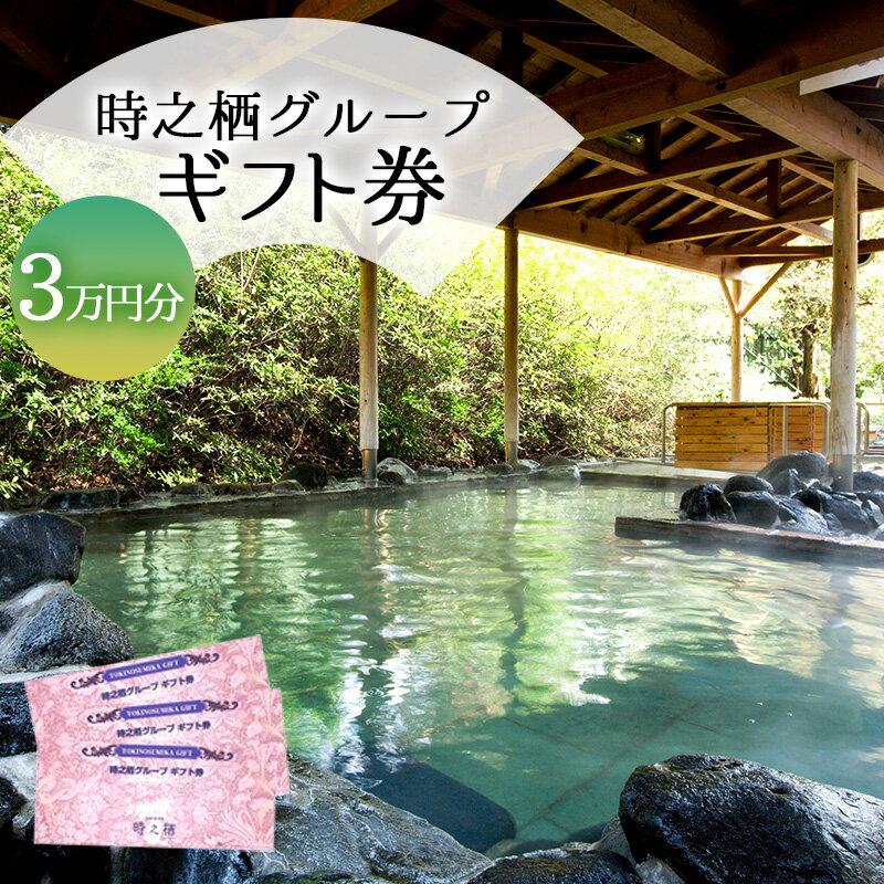 旅行 静岡 時之栖 グループ ギフト券 9,000円分 （3万円寄付コース） チケット 券 旅行券 宿泊券 食事券 利用券 ホテル 温泉 レストラン グランピング 施設 トラベル 観光 体験 旅 ギフト プレゼント 贈答 贈答品 贈り物 静岡県 裾野 裾野市