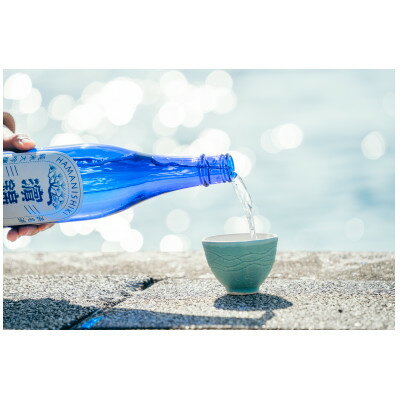 【ふるさと納税】濱錦 純米大吟醸 720ml　1本と湖西焼き ぐい呑み 1個【1470830】 サムネイル2