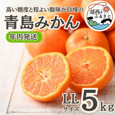 【年内発送】【12月中旬より順次出荷予定】青島みかん約5kg LLサイズ〔鈴木農園〕【1510094】