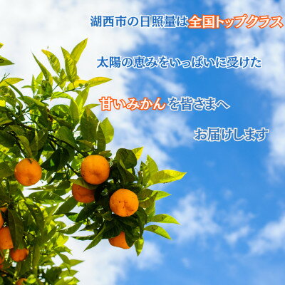 【ふるさと納税】【年内発送】【12月中旬より順次出荷予定】青島みかん約5kg Lサイズ〔鈴木農園〕【1510097】 サムネイル2