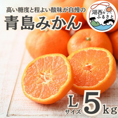 【先行予約】【2026年1月より順次出荷予定】青島みかん約5kg Lサイズ〔鈴木農園〕【1510101】
