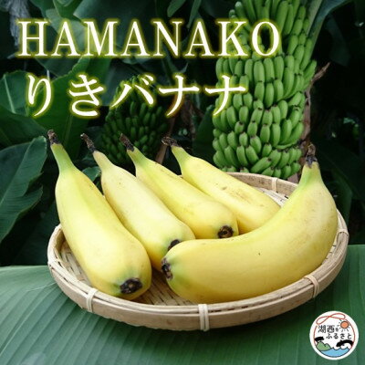 HAMANAKO　りき　バナナ 箱入り 5本(各160~190g)【配送不可地域：離島】【1525861】