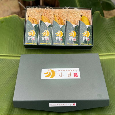 【ふるさと納税】HAMANAKO　りき　バナナ 箱入り 5本(各160~190g)【配送不可地域：離島】【1525861】 サムネイル2