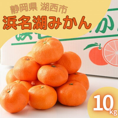 【2025年12月発送】浜名湖の「普通温州みかん」10kg【1537443】