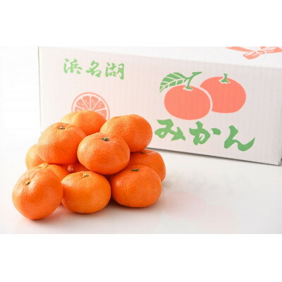 【ふるさと納税】【2025年12月発送】浜名湖の「普通温州みかん」10kg【1537443】 サムネイル2