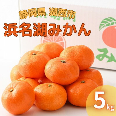 【2025年12月発送】浜名湖の「普通温州みかん」【1537445】