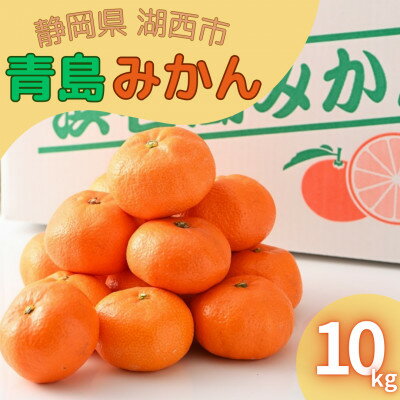 【2026年1月発送】浜名湖の「青島みかん」10kg【1537446】